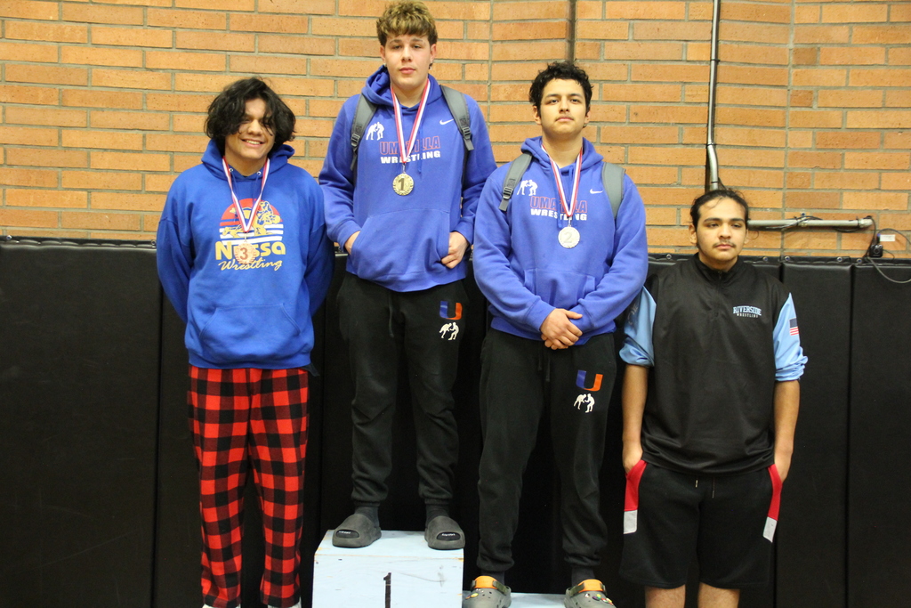 Wrestling Districts